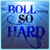 The Surreal Life - Boll(ywood) So Hard album artwork