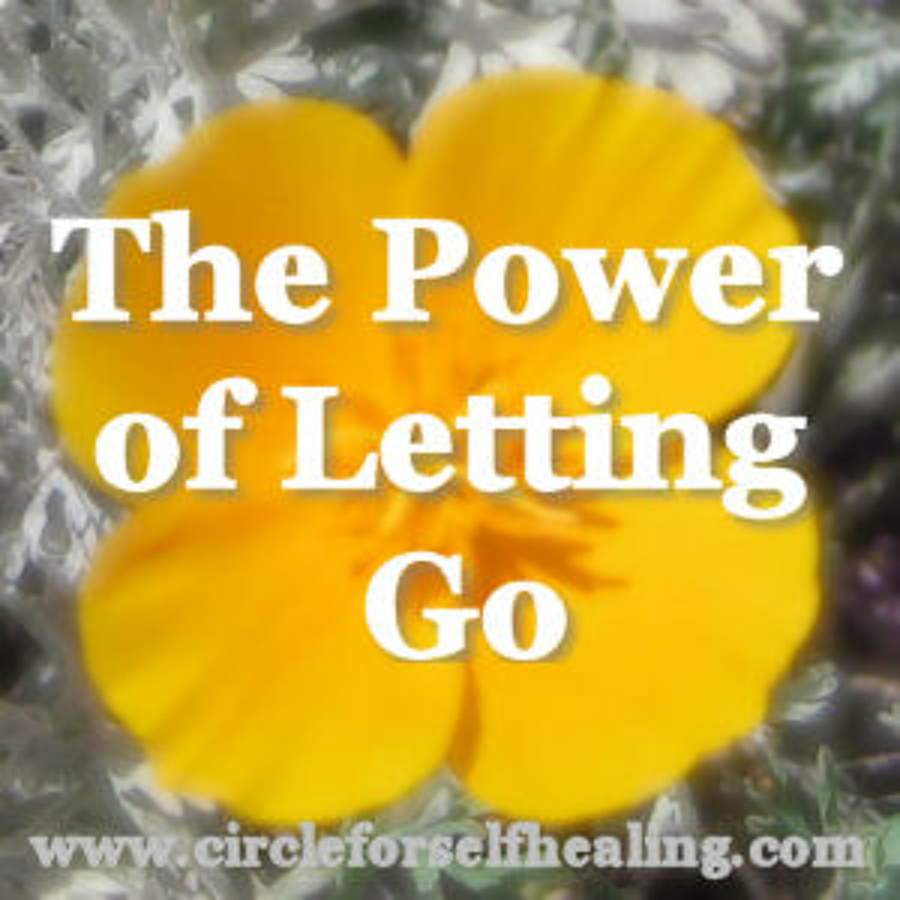 The Power Of Letting Go - With Guest Chris Dunn