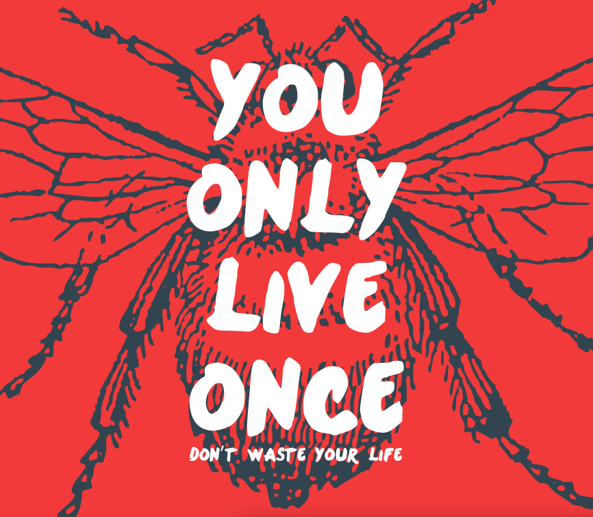 YOU ONLY LIVE ONCE: Don't Waste Your Life