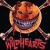 The Wildhearts speak to TeamRock at Download Festival 2014