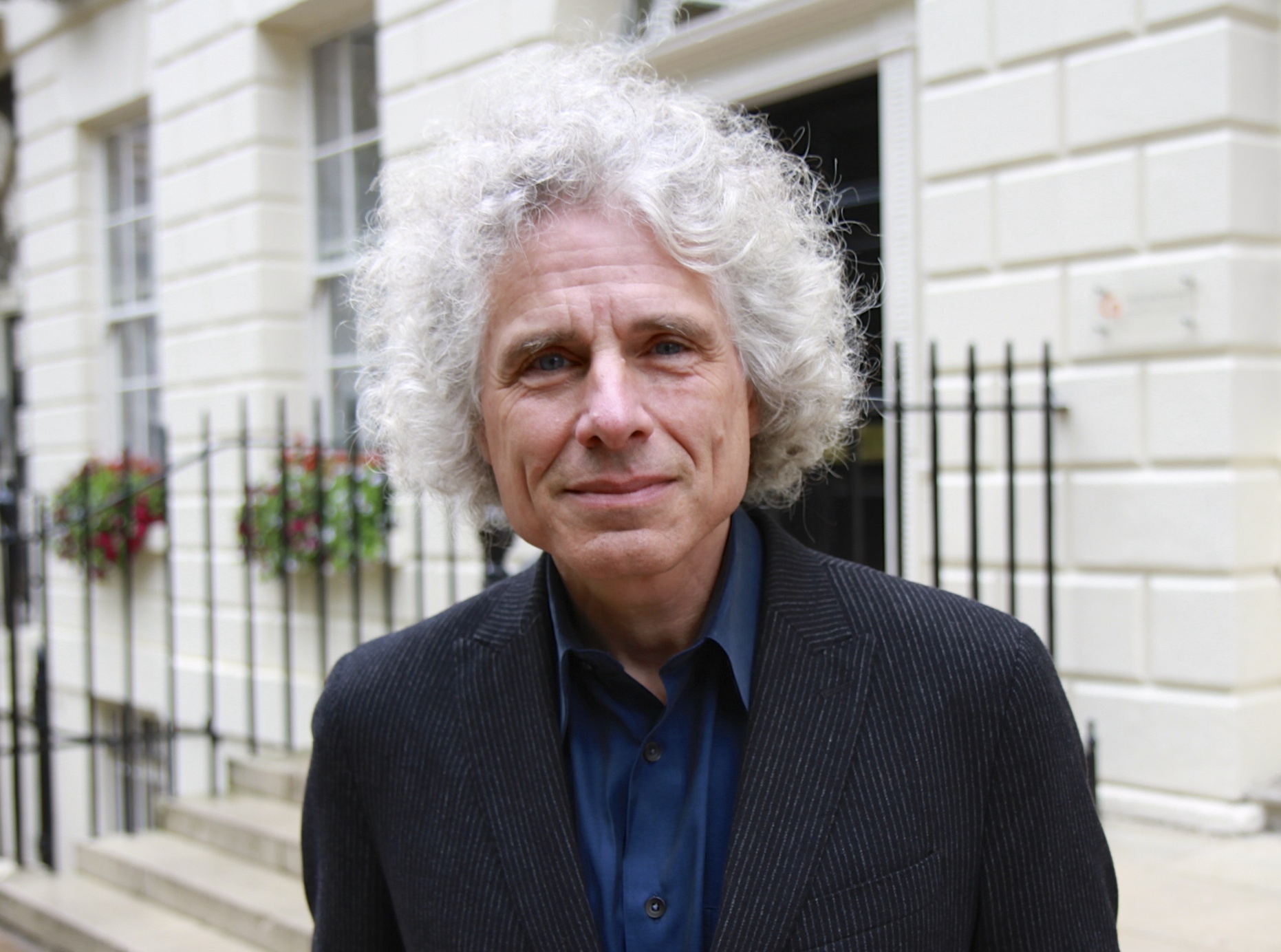 Steven Pinker - The Human Brain