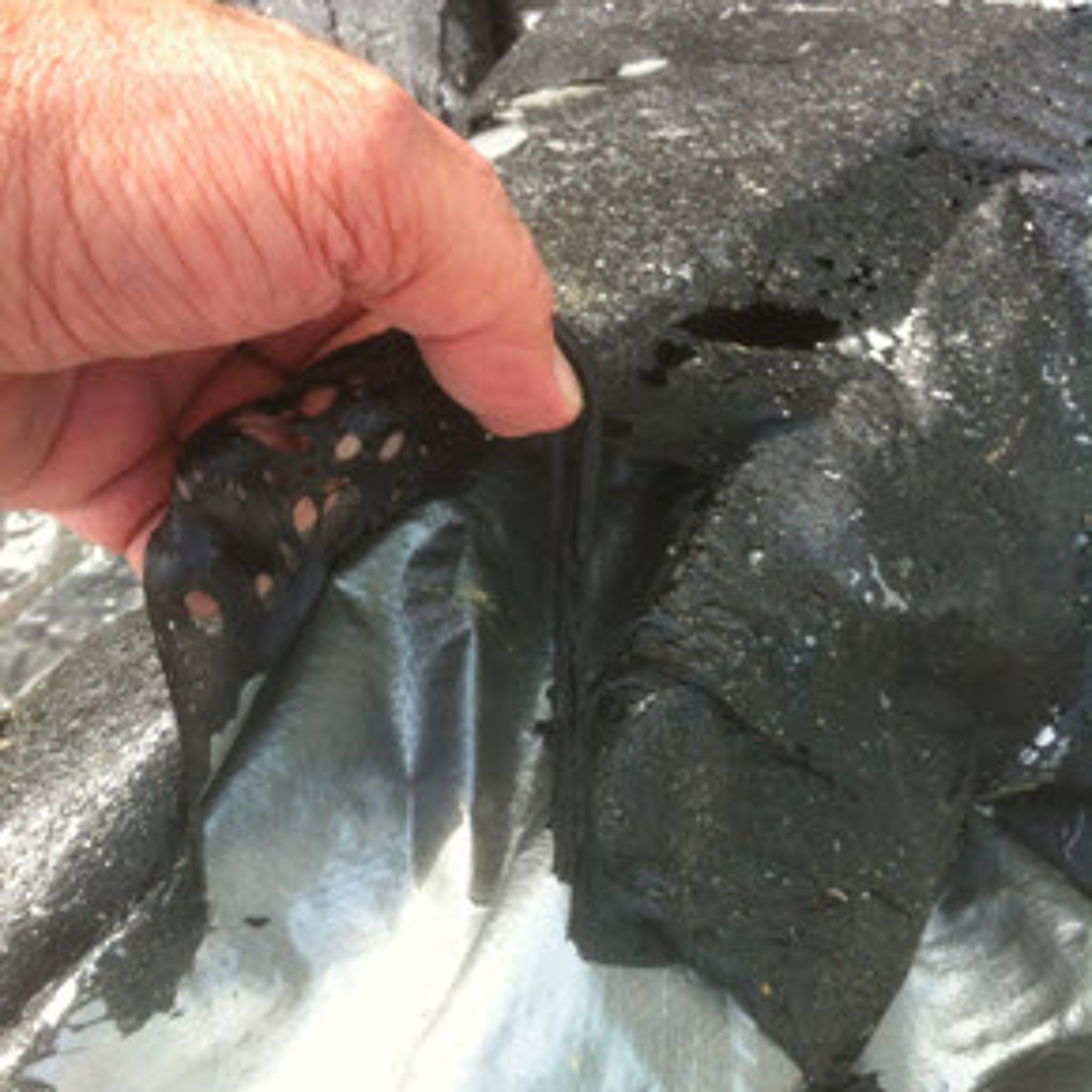 Melbourne Waterproofing Company