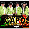 Los Capos De Mexico- La Canelera (Dj Rick Banda Xtended) album artwork