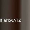 Camouflage album artwork