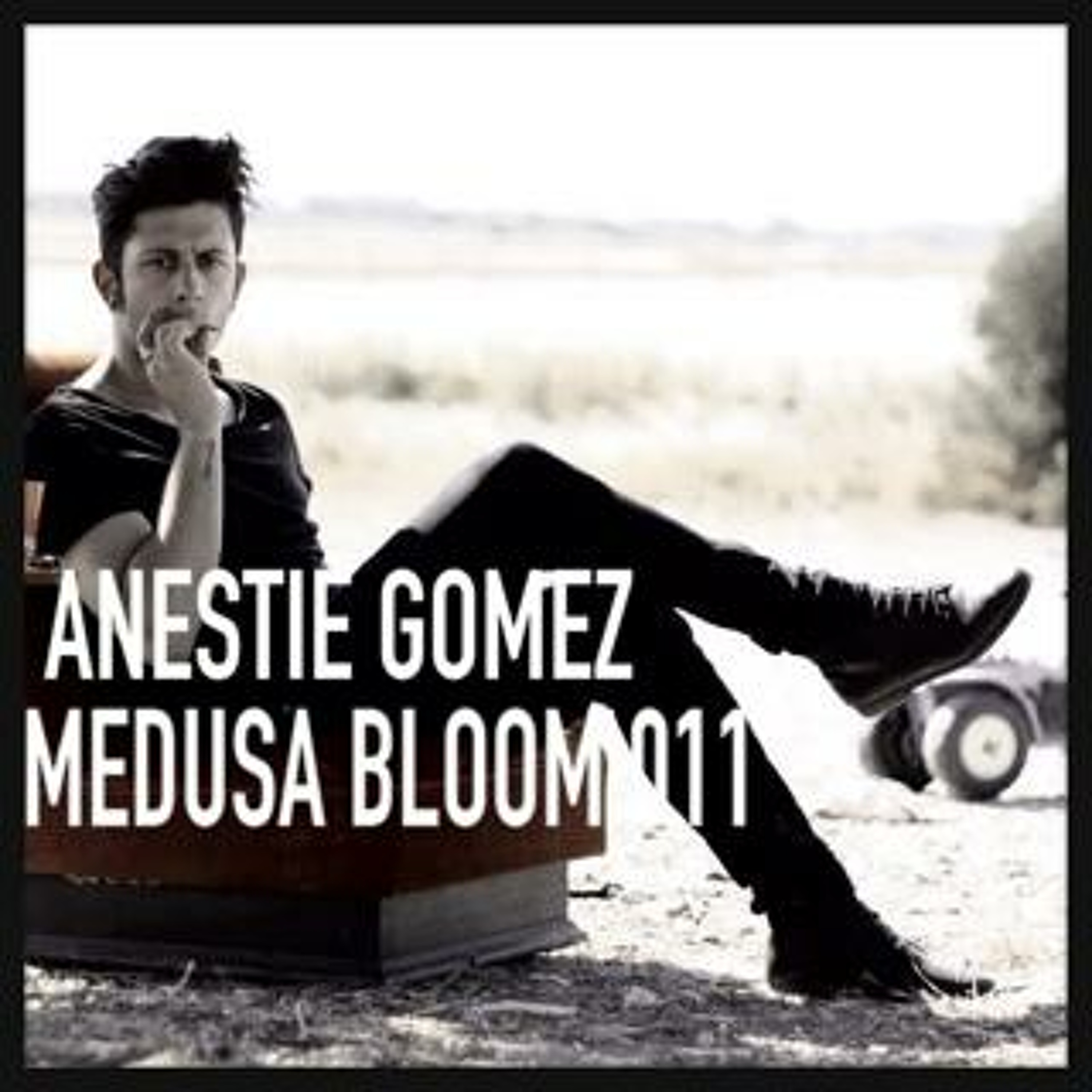 Medusa Bloom