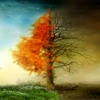 ENYA - ENIGMA - LISA GERRARD (COLLECTION)