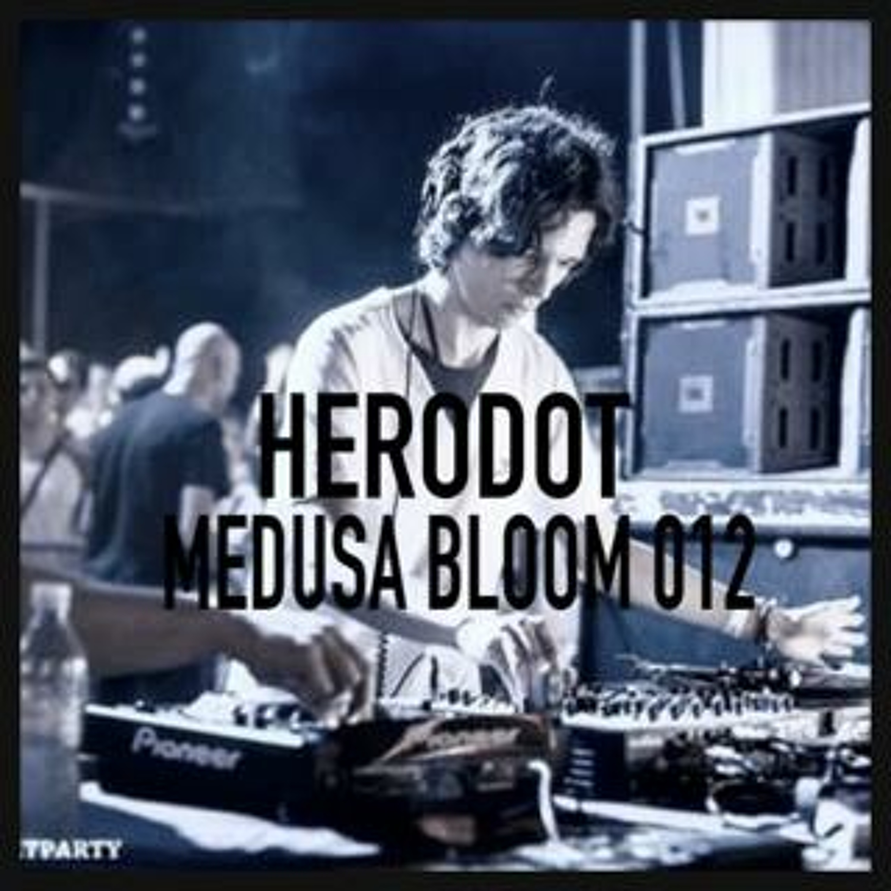 Medusa Bloom