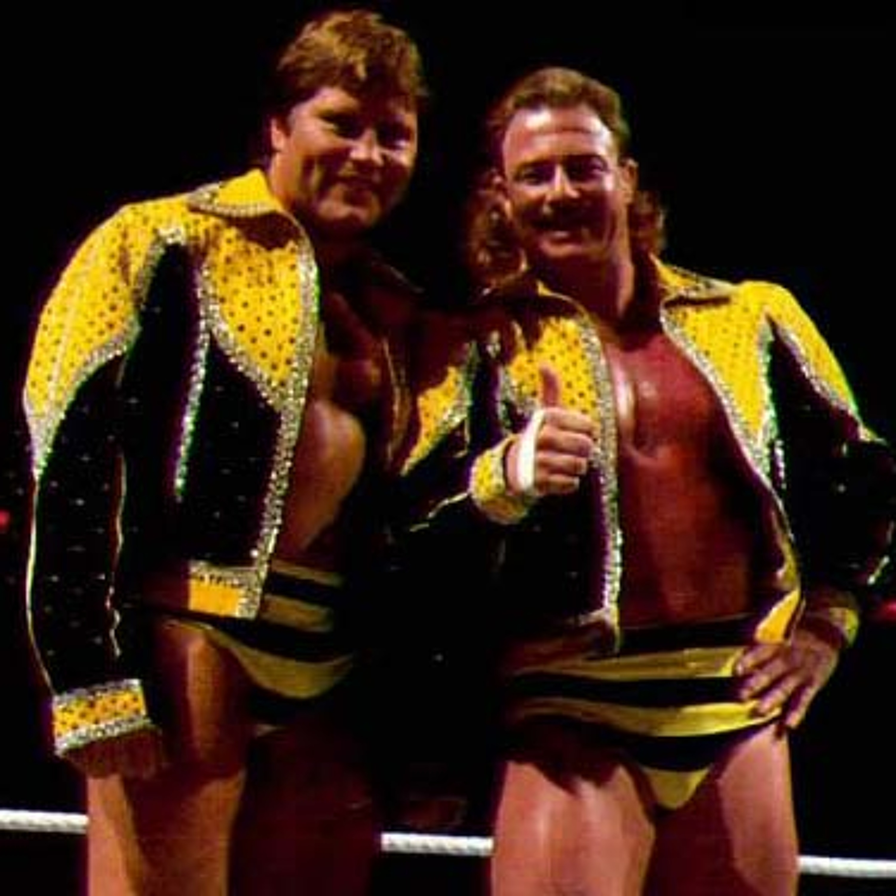 WWE Superstar Killer Bee Brian Blair