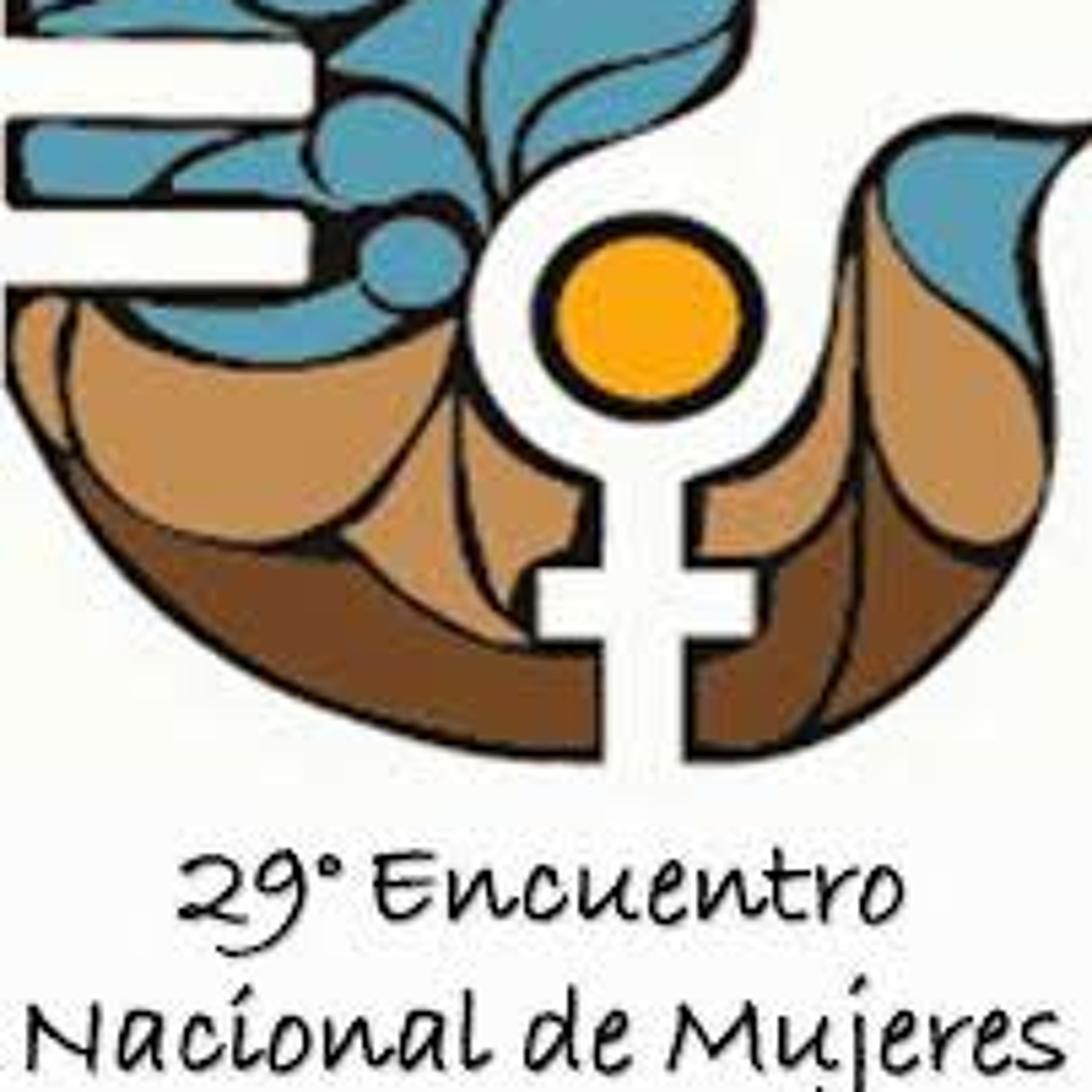 29 Encuentro Nacional de Mujeres | Cobertura