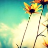 Oasis Wonderwall Savaandrazz Remix Mp3