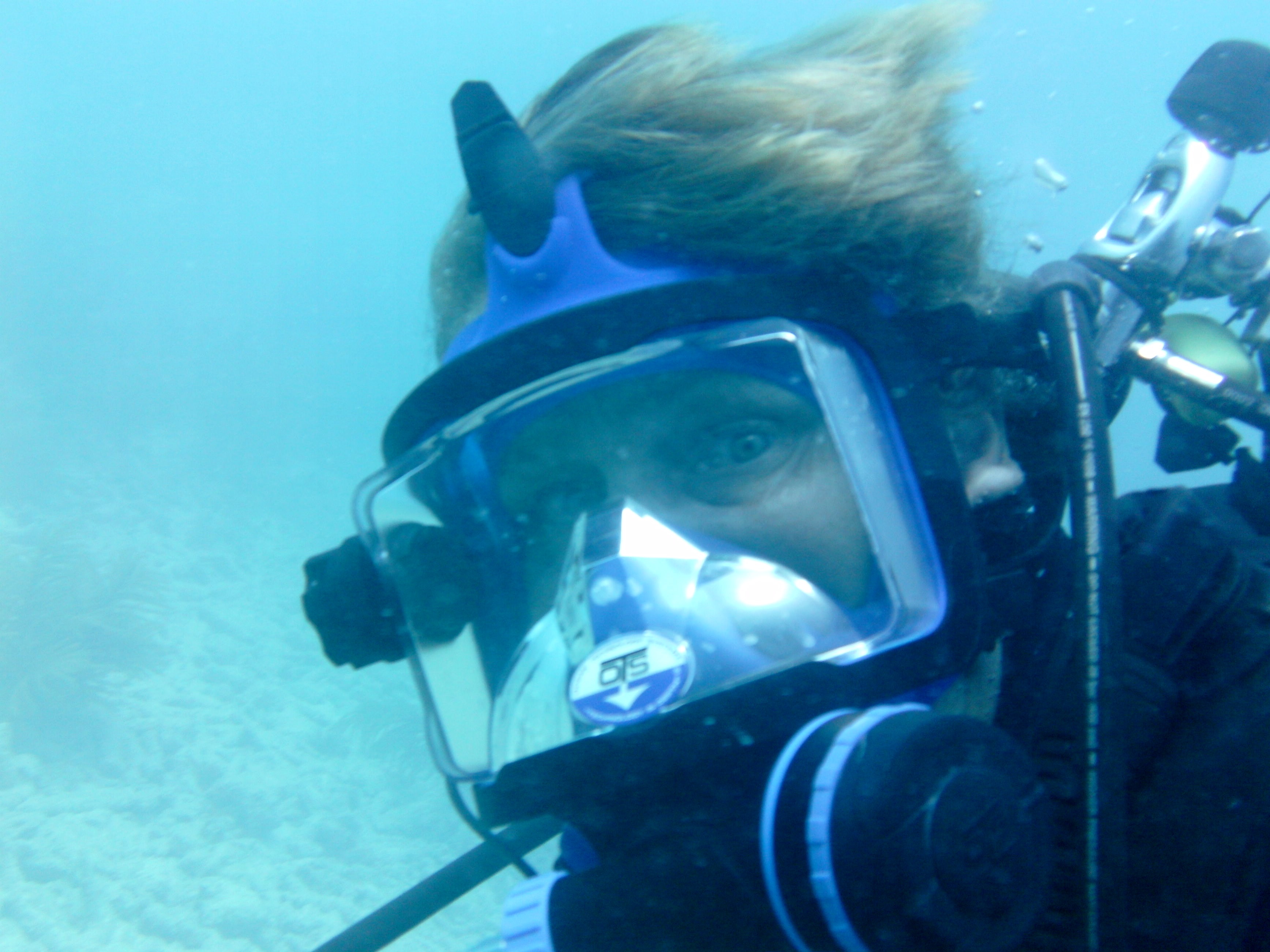 ScubaPath 10 - Erica Beaurline Eco Dive Tour Charter Business