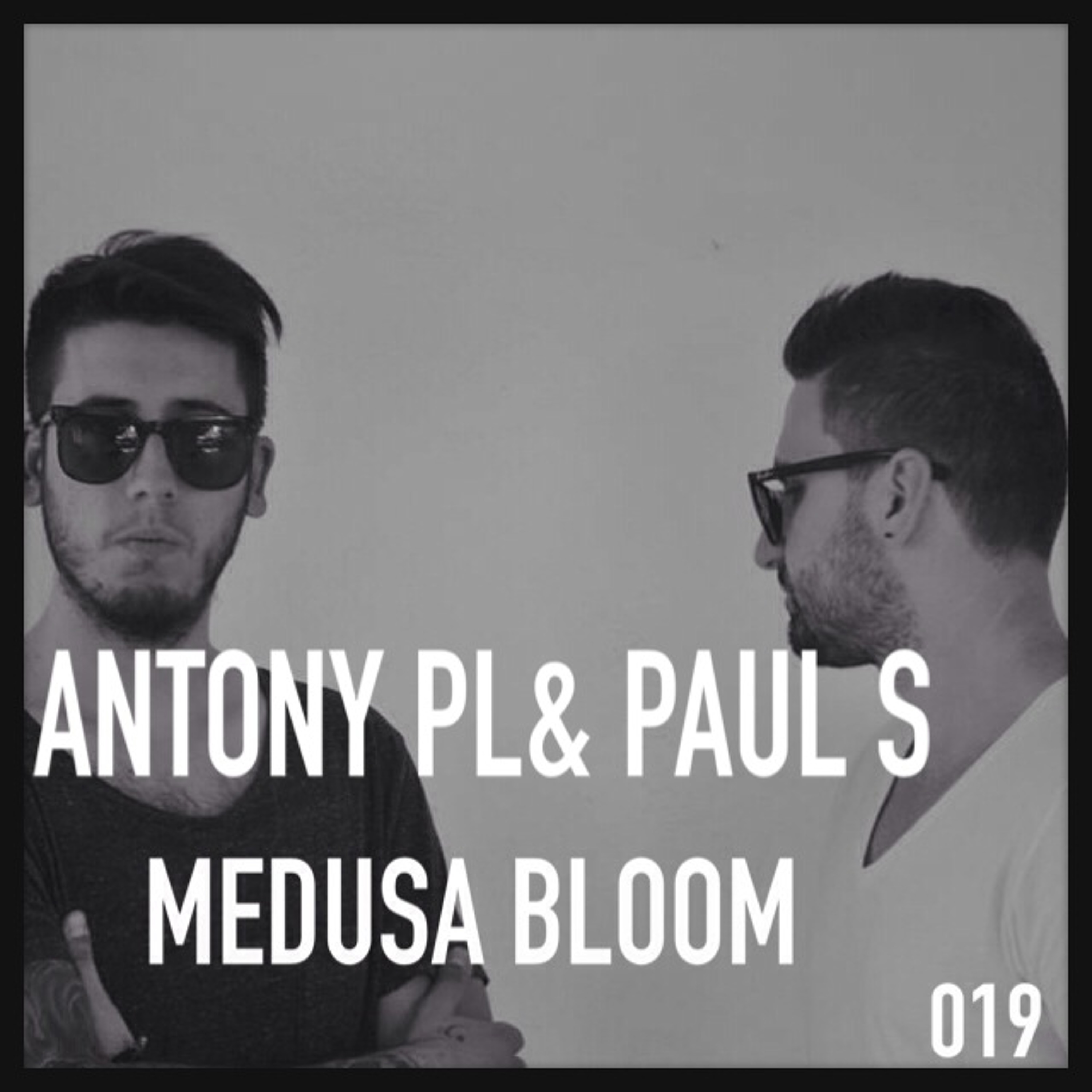 Medusa Bloom