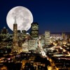 San Franciscan Nights