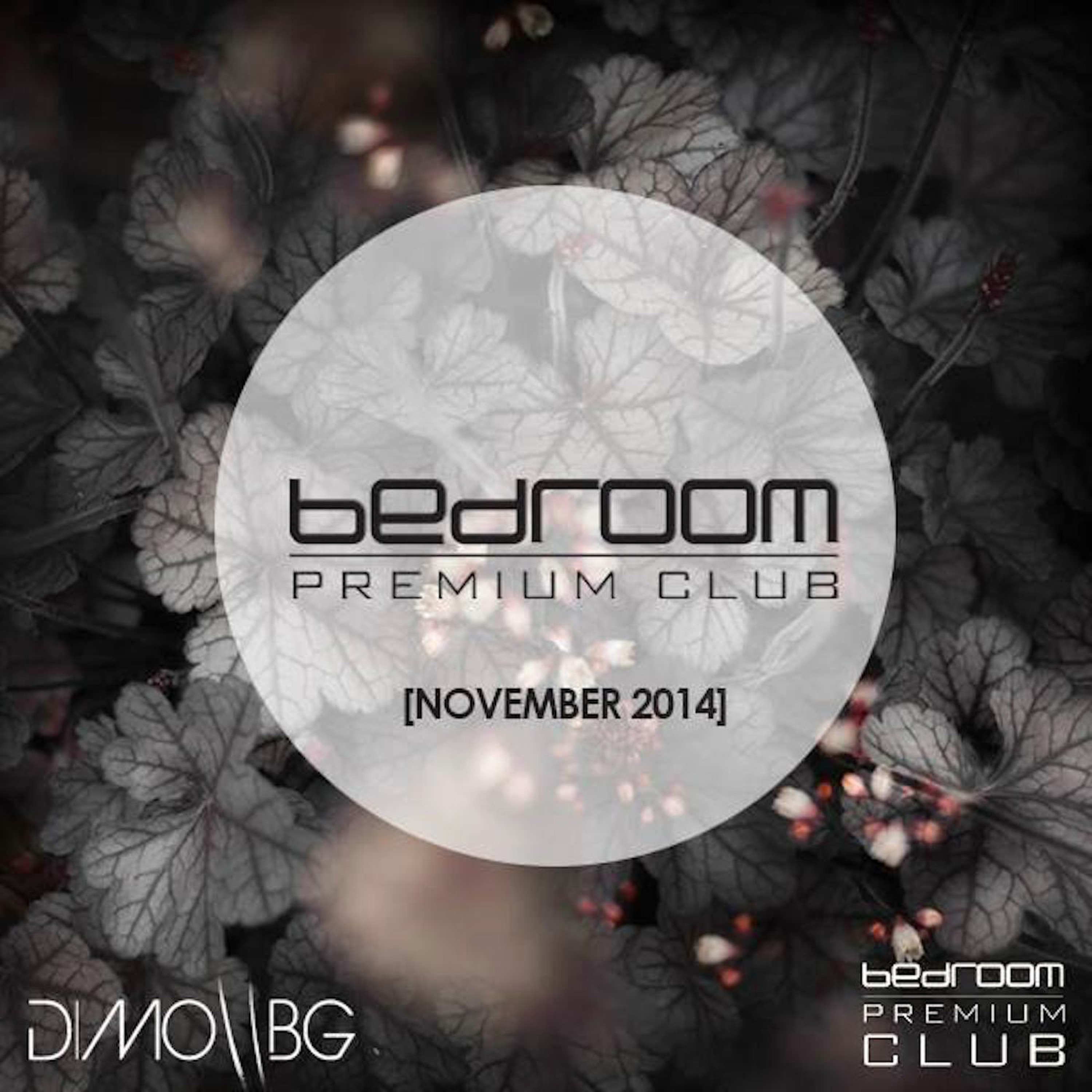 DiMO BG In The Mix Podcast