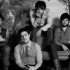 Mumford And Sons Little Lion Man Mp3