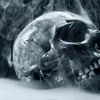 OmegaMode Crystal Skull