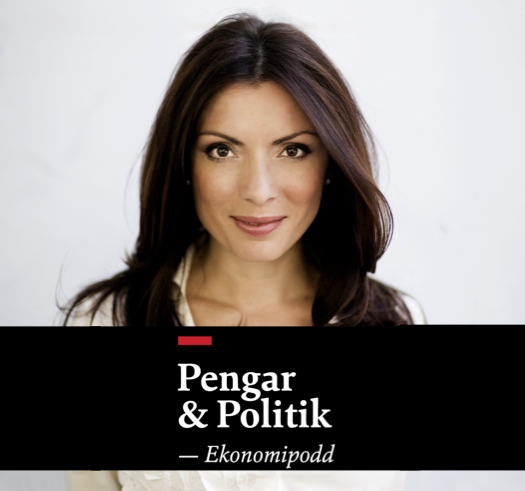 Pengar och Politik