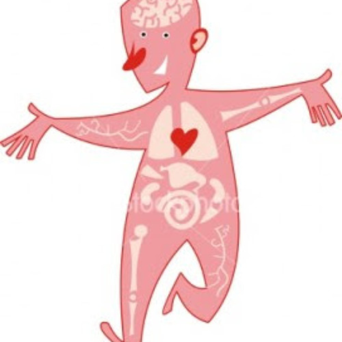 El Poder Del Metabolismo Pdf Gratis