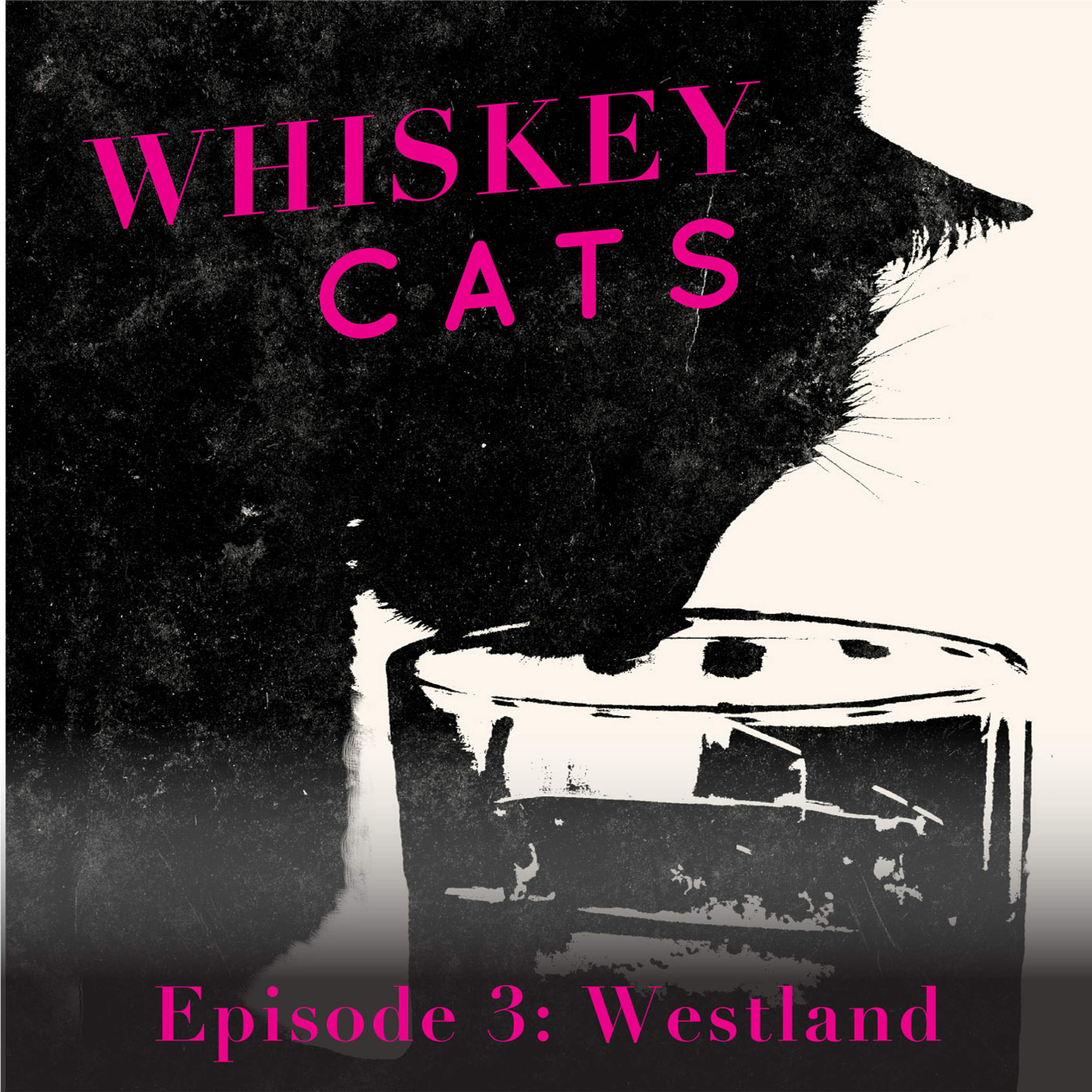 WhiskeyCats