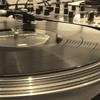 Mumford And Sons Little Lion Man Nik Stallion Remix Mp3