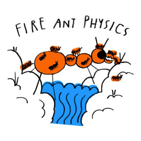 EPISODE 1 – Fire Ant Physics