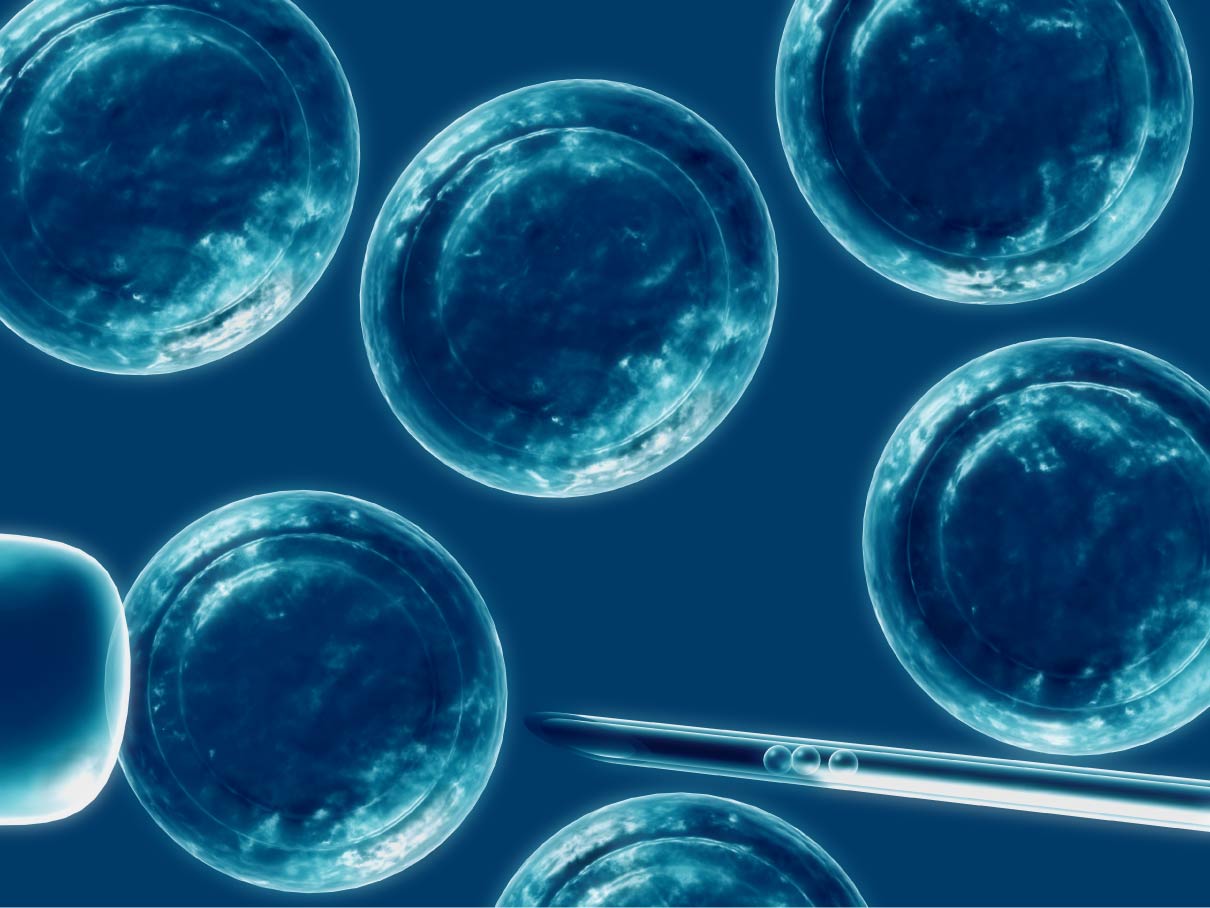DIABETES II - Madres Pluripotentes Para Luchar Contra La Diabetes