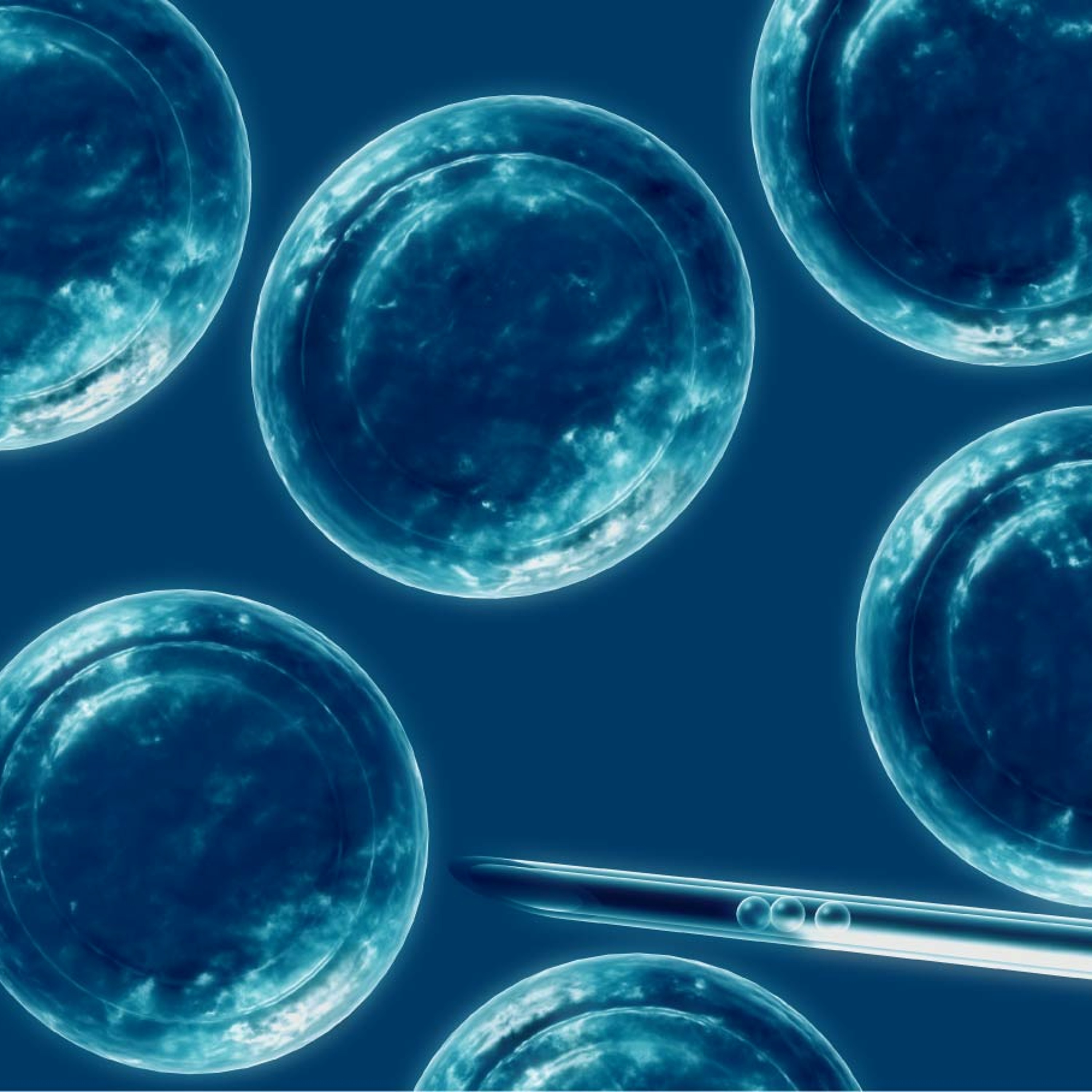DIABETES II - Madres Pluripotentes Para Luchar Contra La Diabetes
