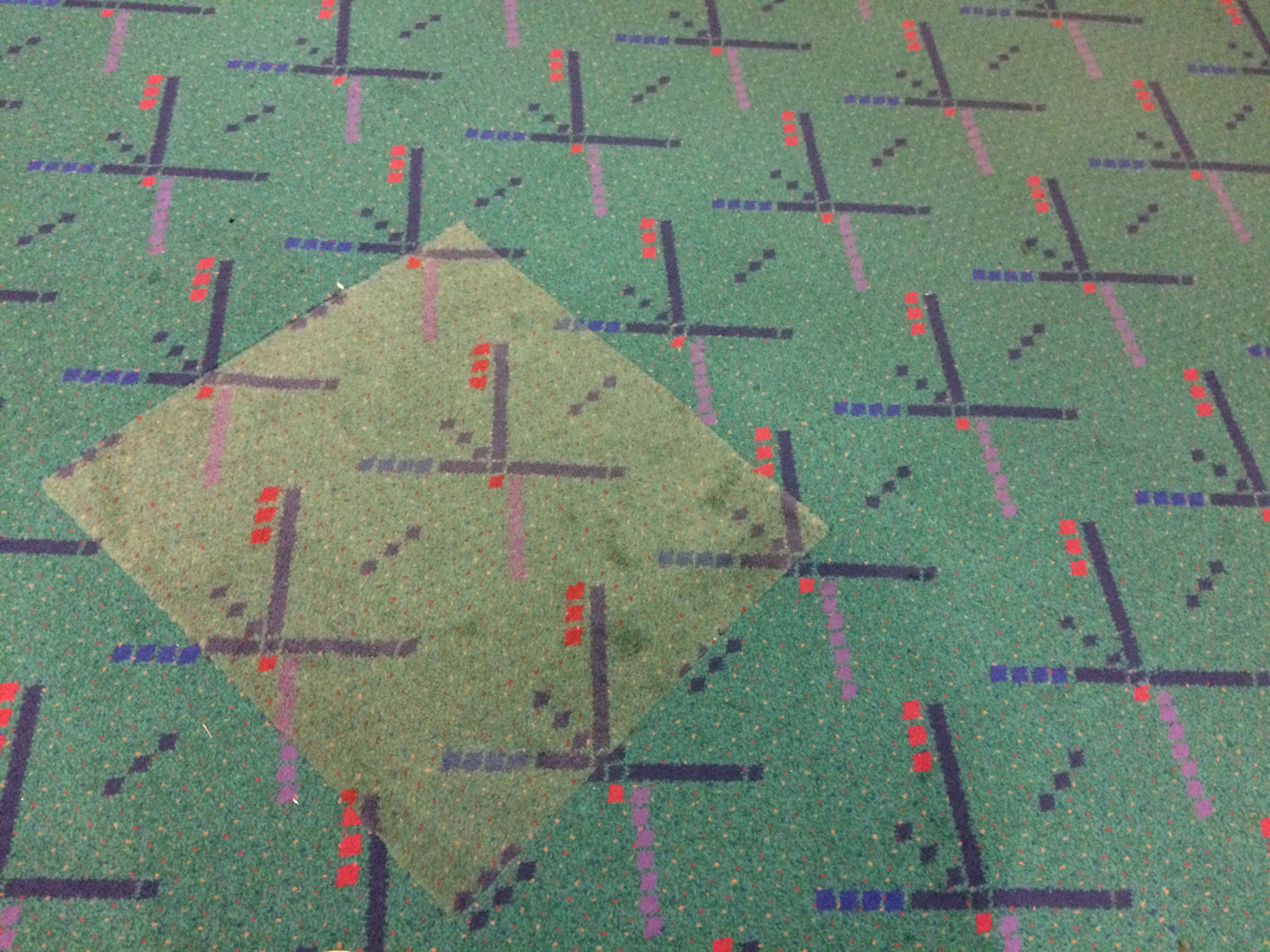 Leftovers: PDX Carpet