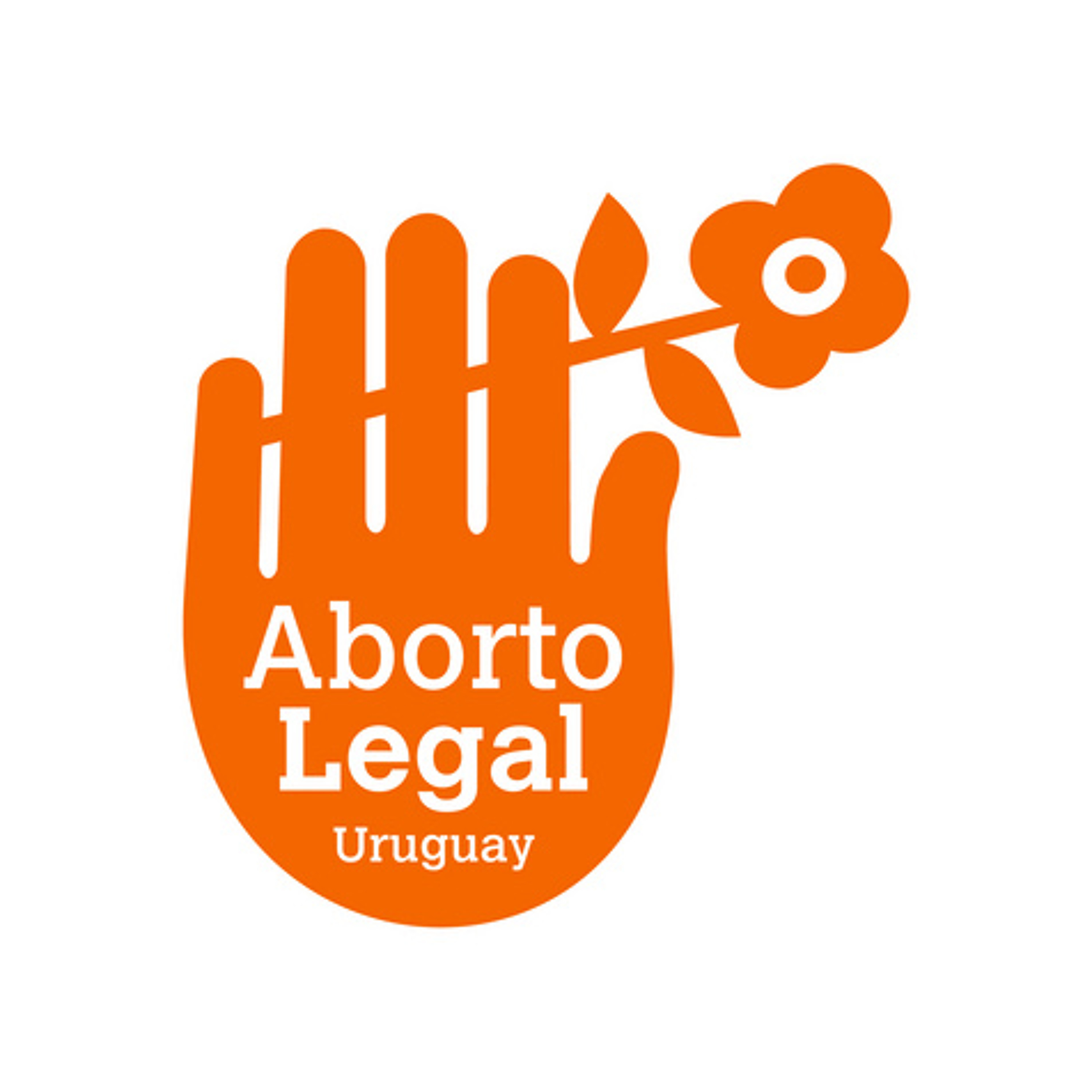 Aborto en Uruguay | Informe