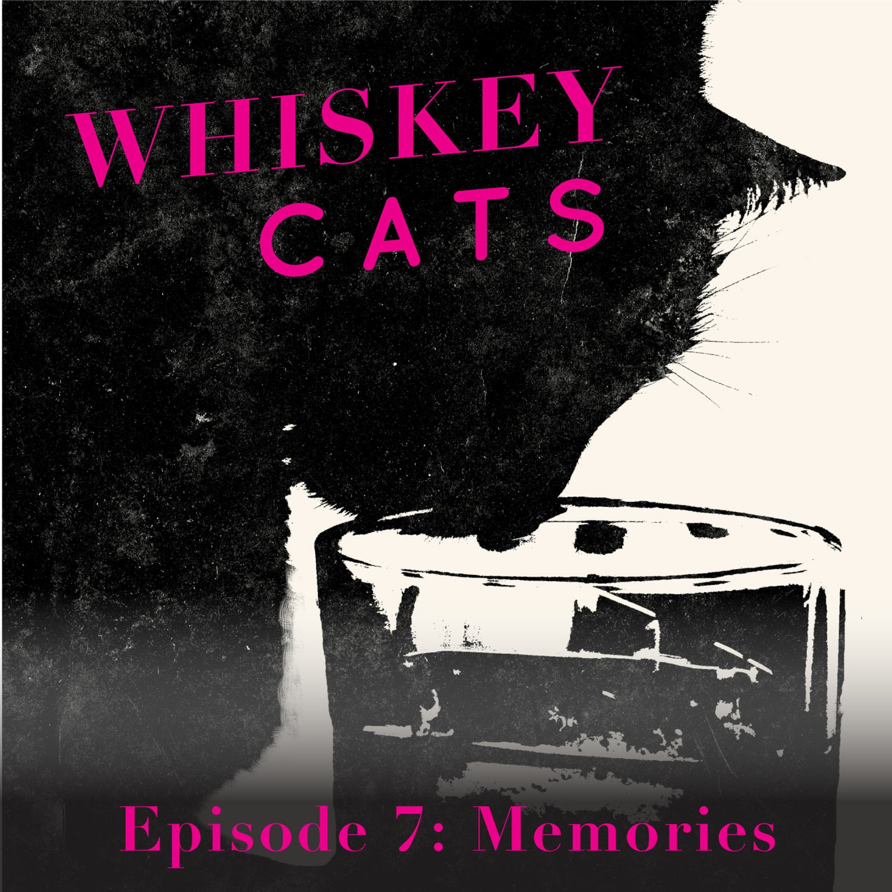 WhiskeyCats