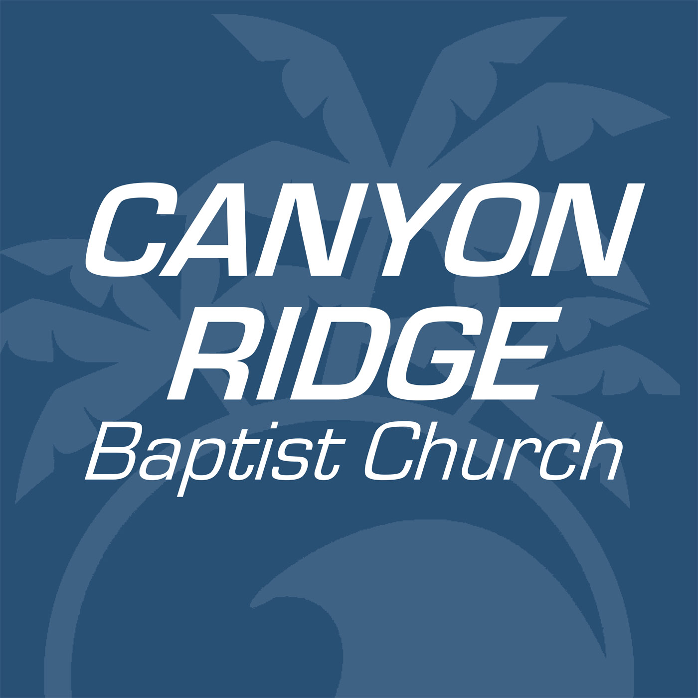 2015-04-12 - Sunday Morning - The New Life Of Faith