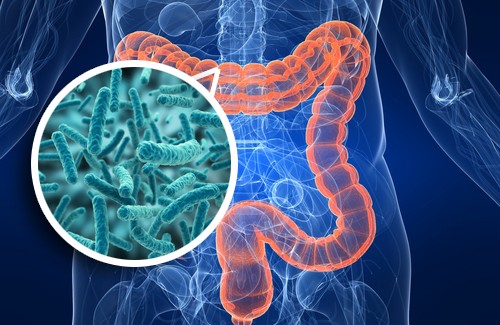 Podcast Microbiota