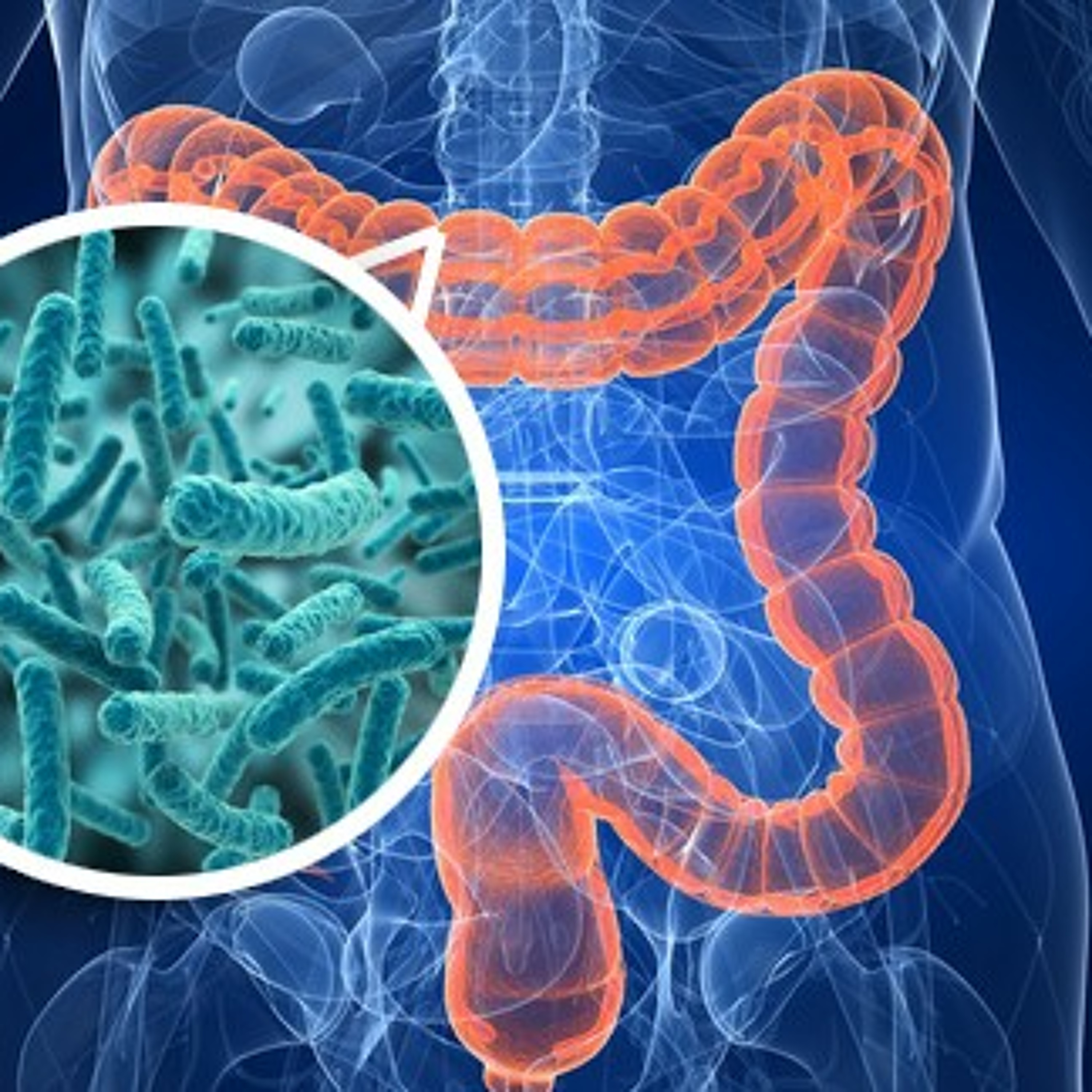 Podcast Microbiota