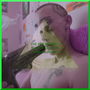 скачать die antwoord babys on fire