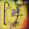 Seether - Same Damn Life