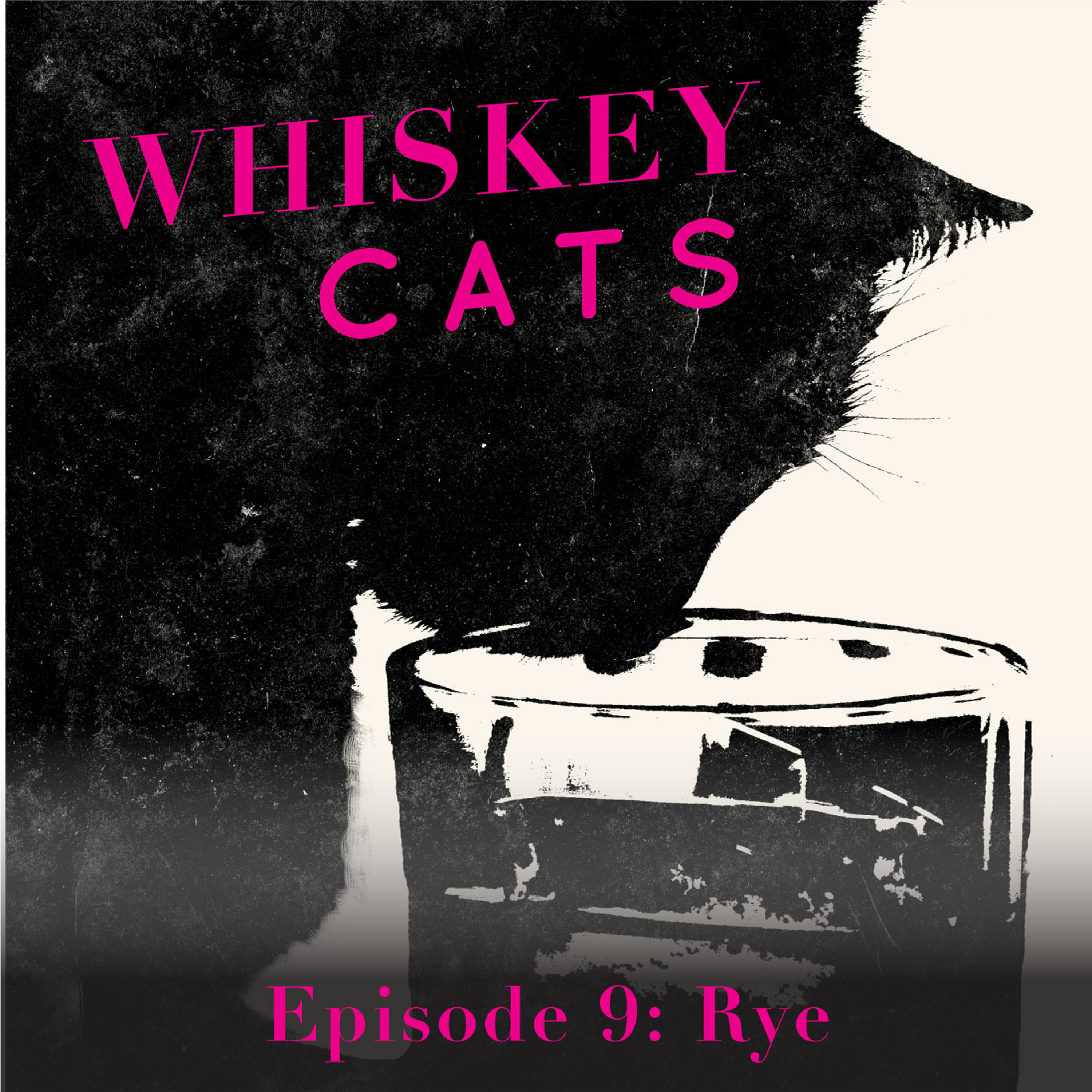 WhiskeyCats