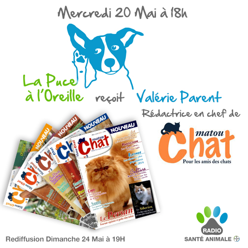 La Puce à l'Oreille #76 - Matou Chat, le magazine pour les amis des chats