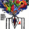 Gnarls Barkley Crazy Jack Johnson Quicky Bootleg Mp3