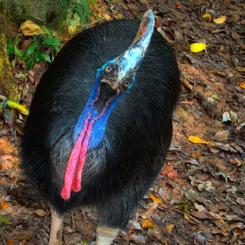 BNWYDSE: The Official THAC Posdcast - Episode 35 BNWYDSE: The Official THAC Posdcast - Episode 35