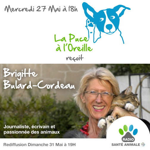 La Puce à l'Oreille #77 - Brigitte Bulard-Cordeau, journaliste, écrivain et passionnée des animaux