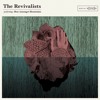 poster of The Revivalists Wish I Knew You song