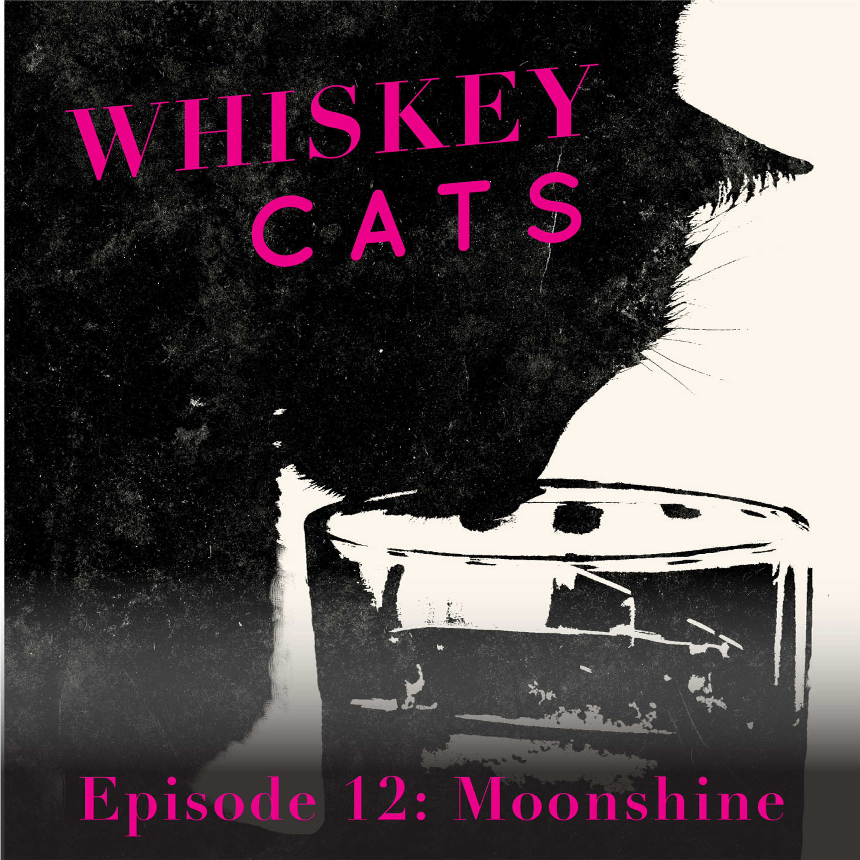 WhiskeyCats