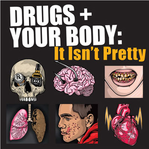 the effect of drugs essay the effect of drugs essay