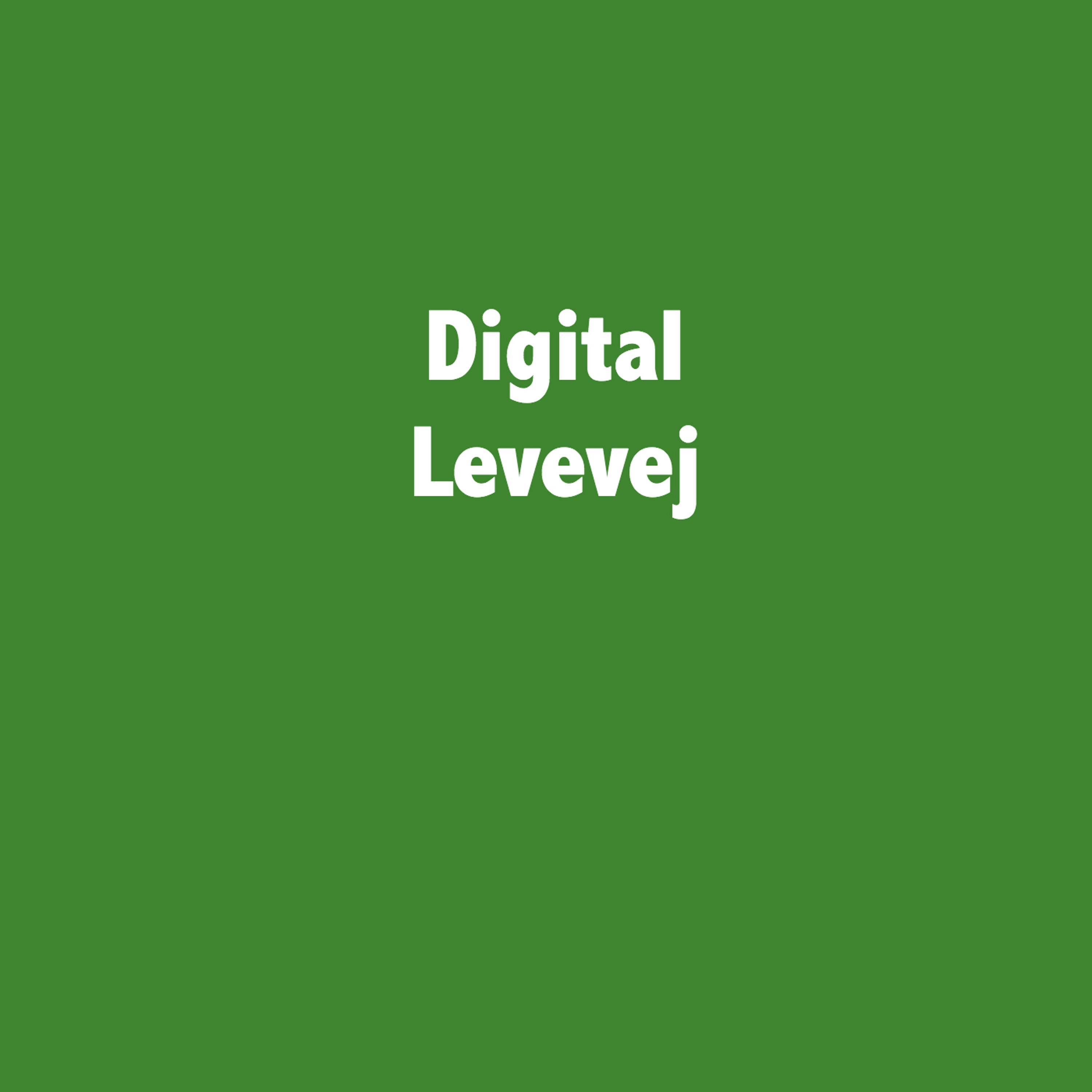 Digital Levevej 001 - Martin Hjort