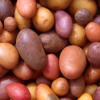 Dance Potato (instrumental)