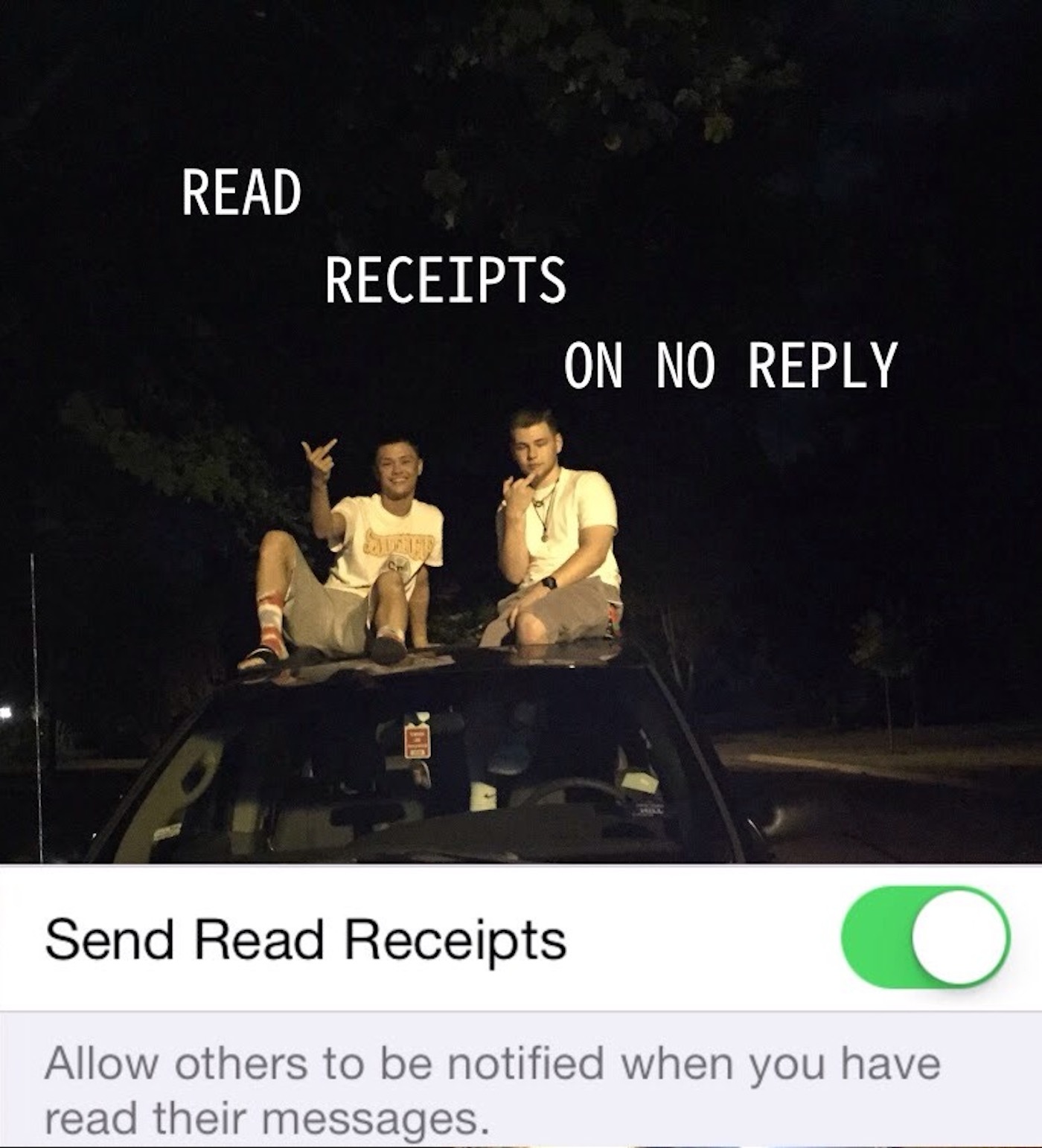 Pet Peeves #1