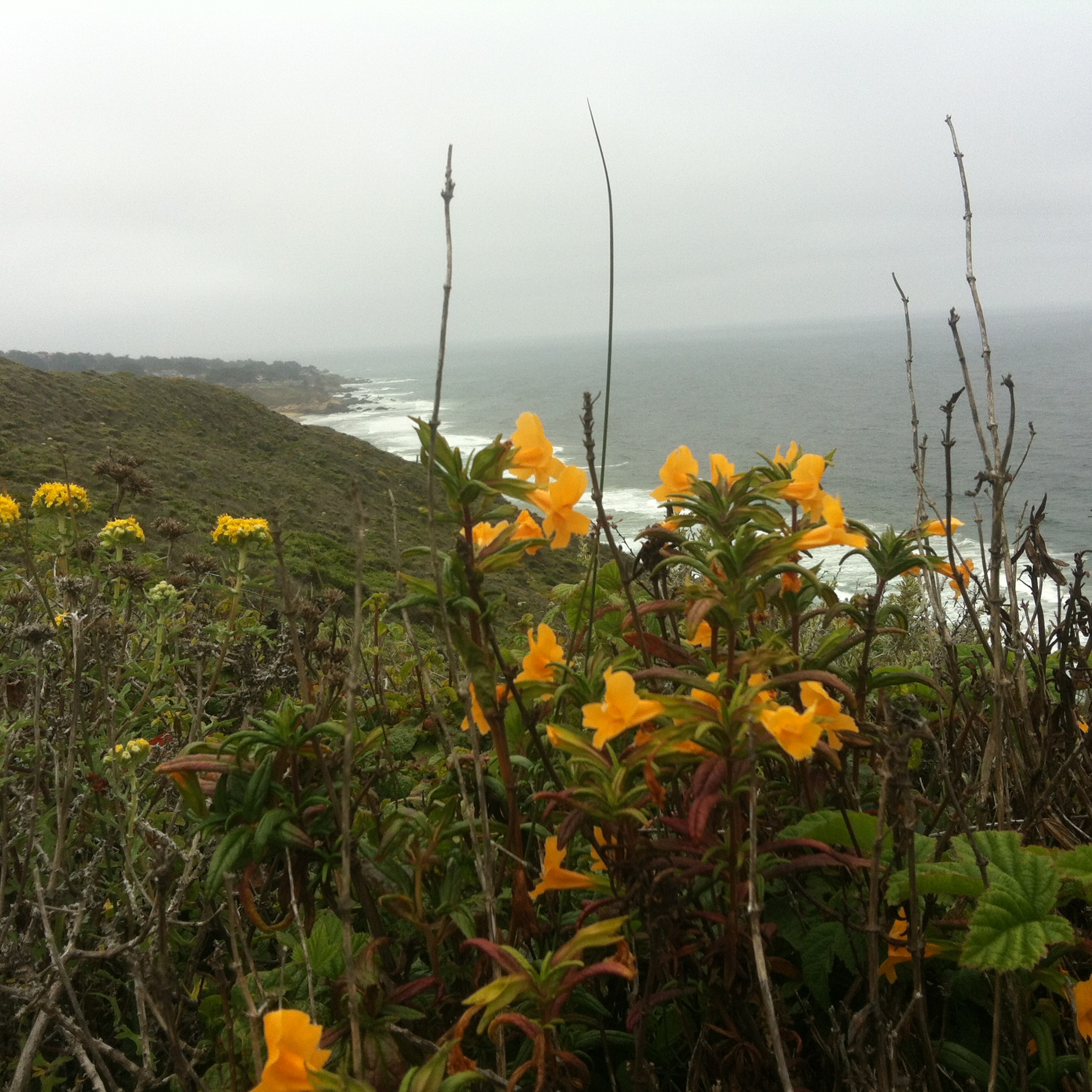 Episode 14 - Barely Making it to the Pacific Ocean - Reflections