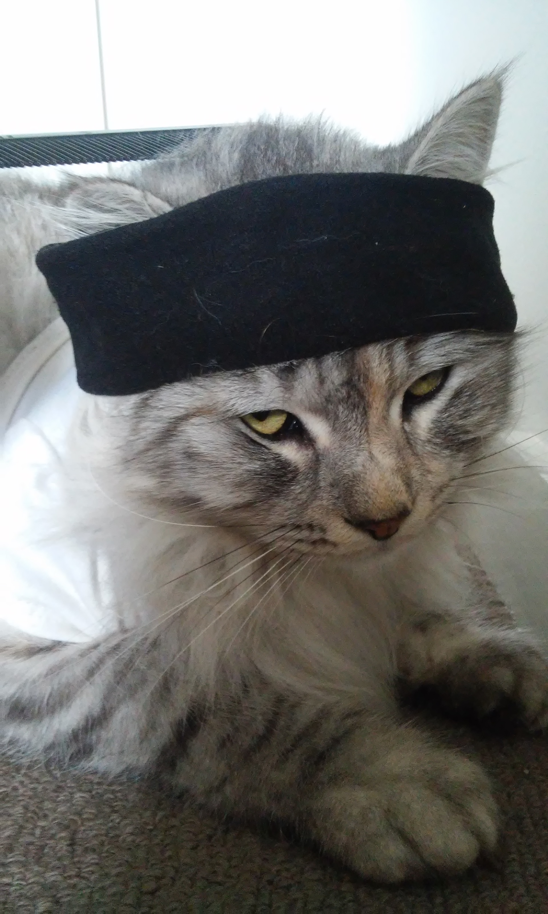 Inside The Notebook Episode 8 "Cat"