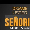 Señorita Remix