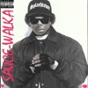 Sauce Walka Boyz N The Splash Mp3